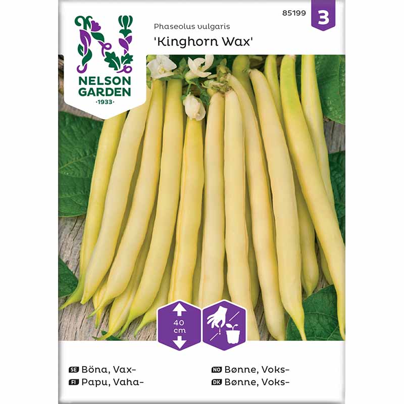 Wax bean 'Kinghorn Wax'