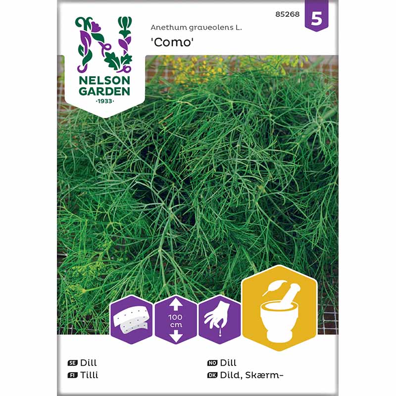 Dill 'Como' Seed Tape