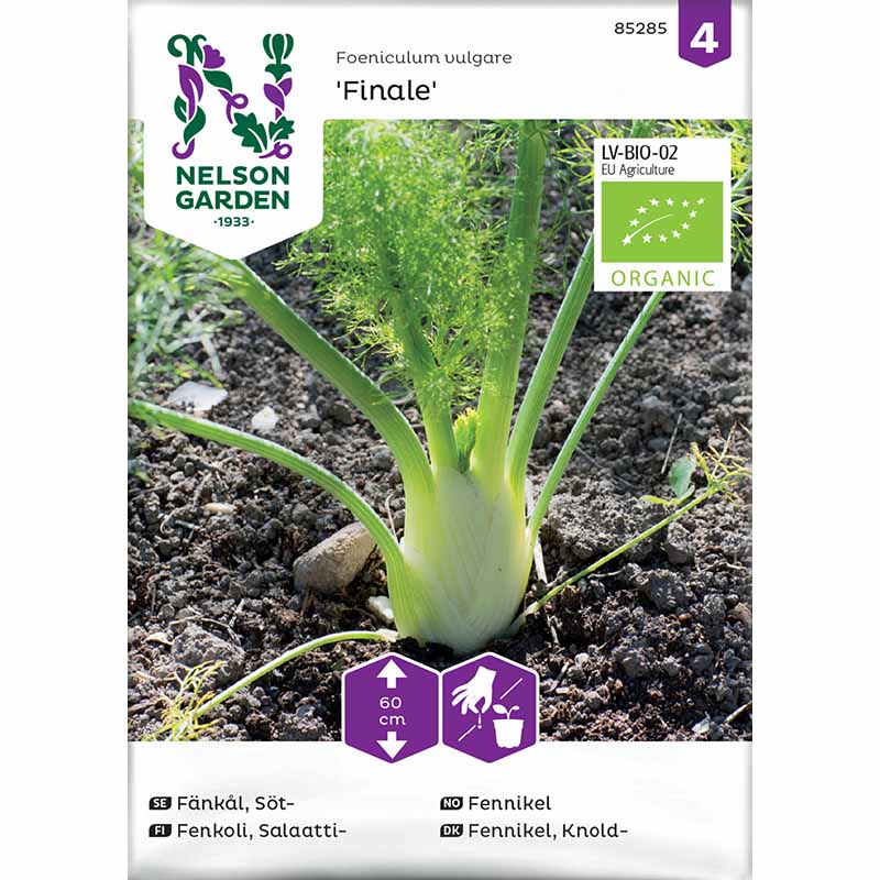 Fennel 'Finale' Organic
