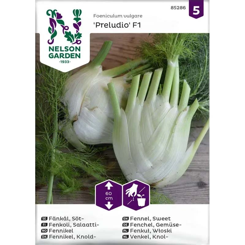 Fennel 'Preludio' F1