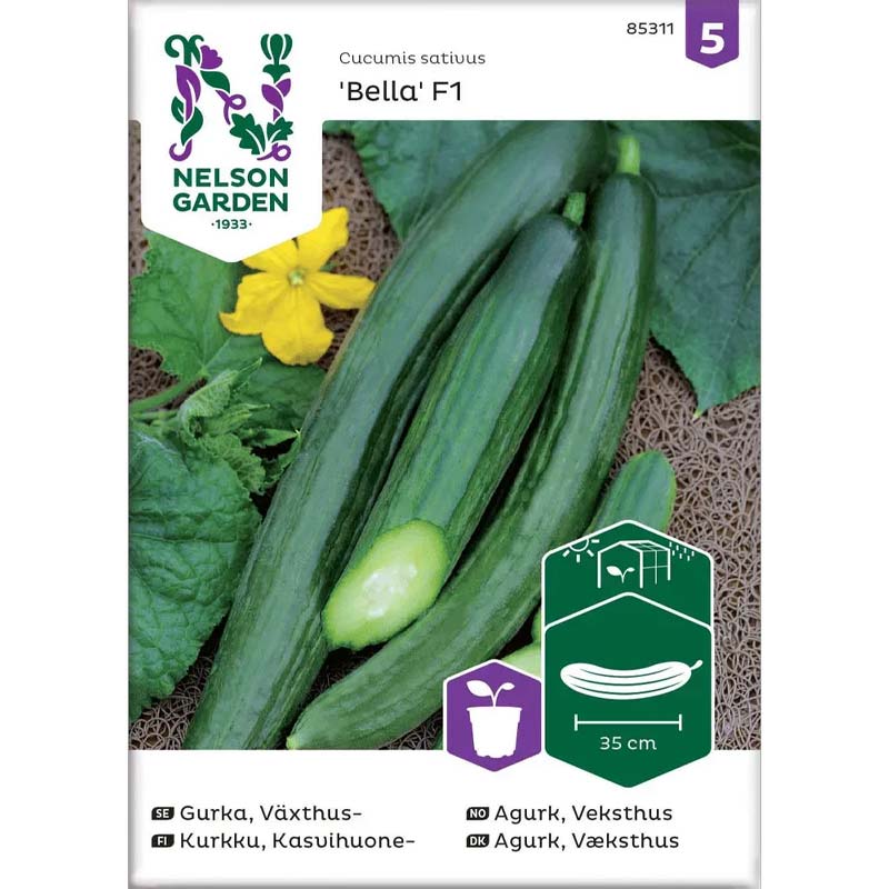 Växthusgurka 'Bella' F1