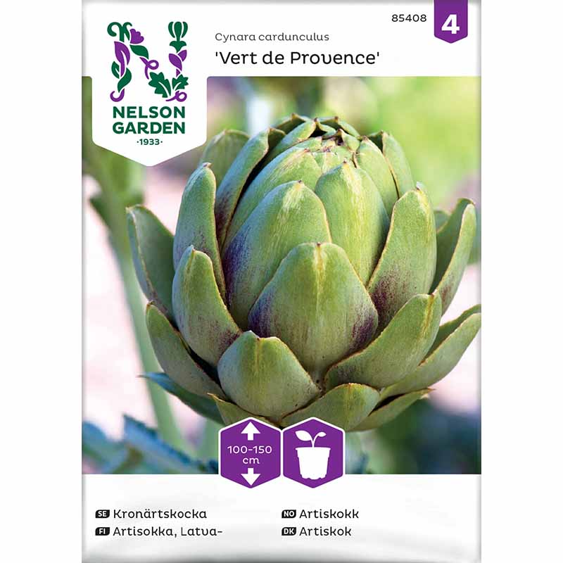 Artichoke 'Vert de Provence'
