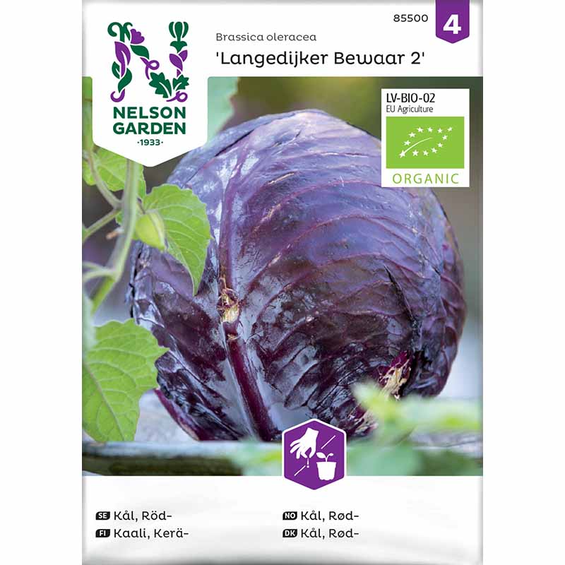 Red Cabbage 'Langedijker Bewaar 2' Organic