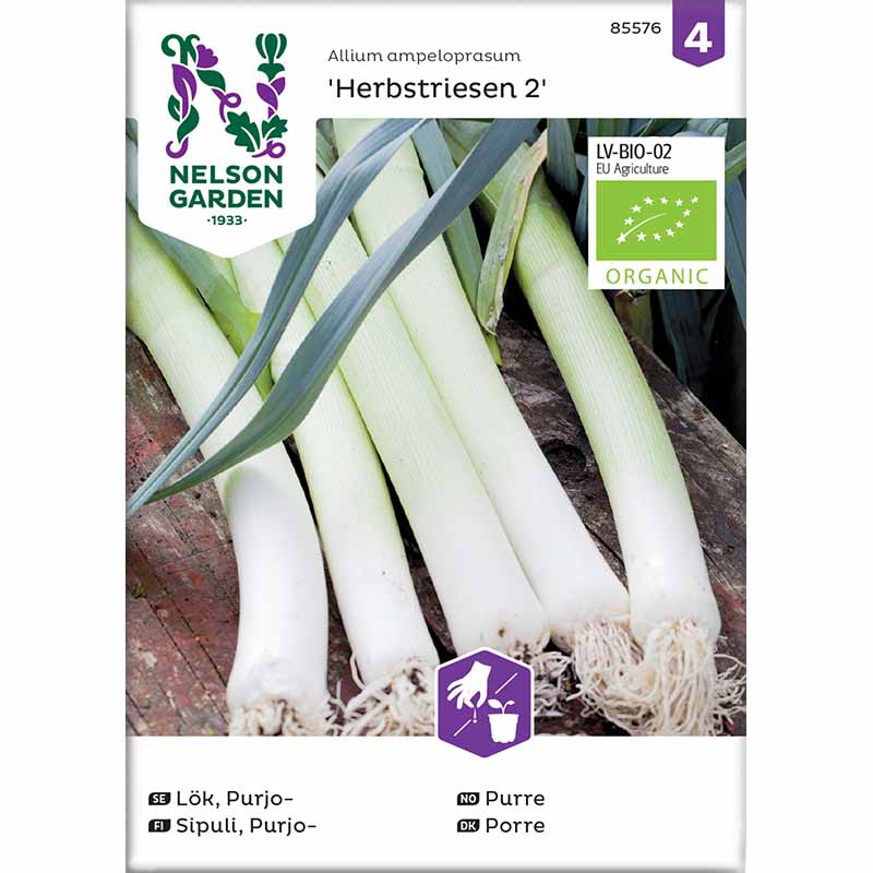 Leek 'Herfstreuzen 3'