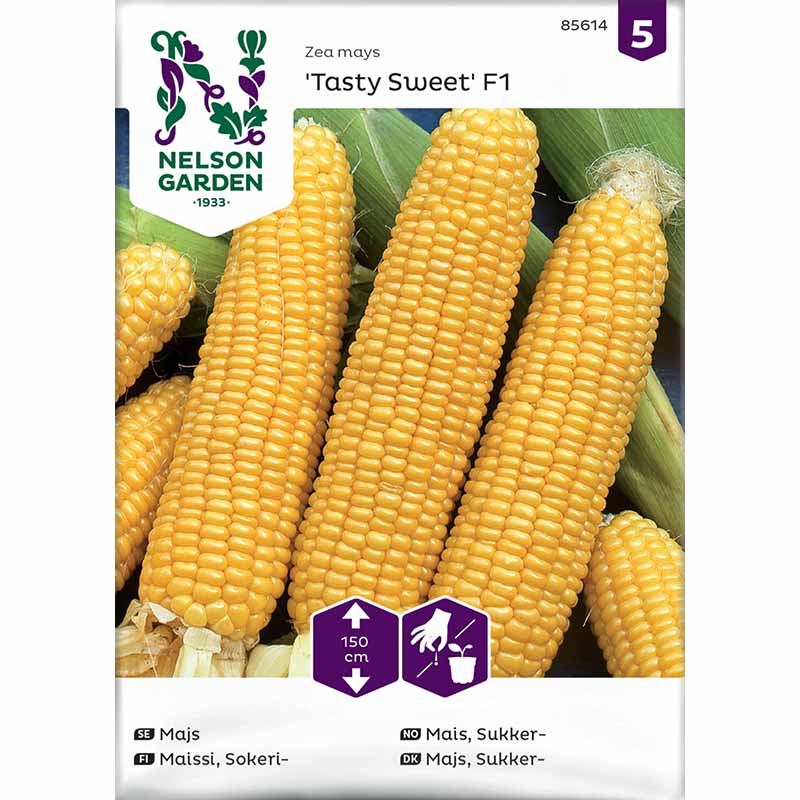 Sweet Corn 'Tasty Sweet' F1