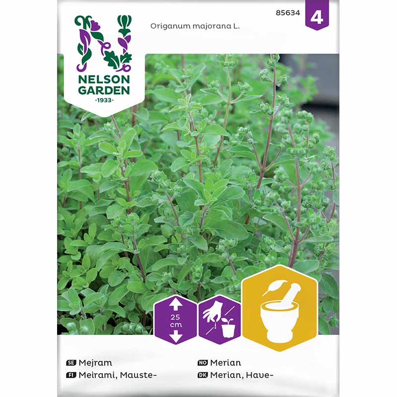 Marjoram