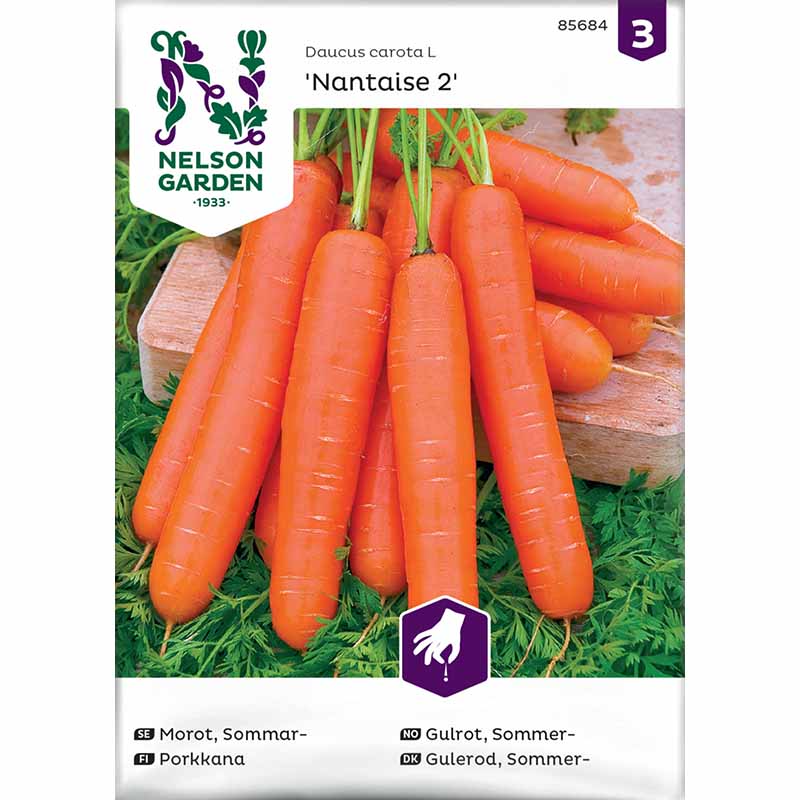 Summer Carrot 'Nantaise 2'