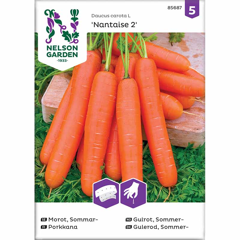 Summer Carrot 'Nantaise 2' Seed Tape