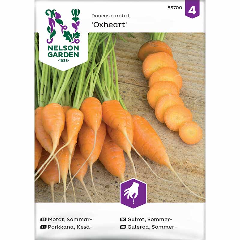 Summer Carrot 'Oxheart'