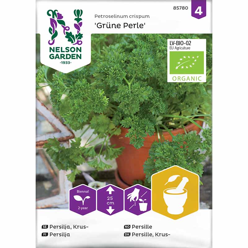 Leaf Parsley 'Grüne Perle'