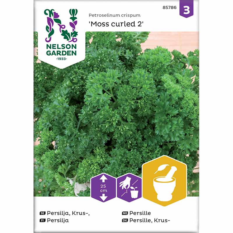 Parsley 'Moss Curled 2'