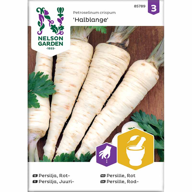 Root Parsley 'Halblange'