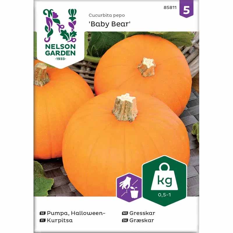 Mini Pumpkin 'Baby Bear'