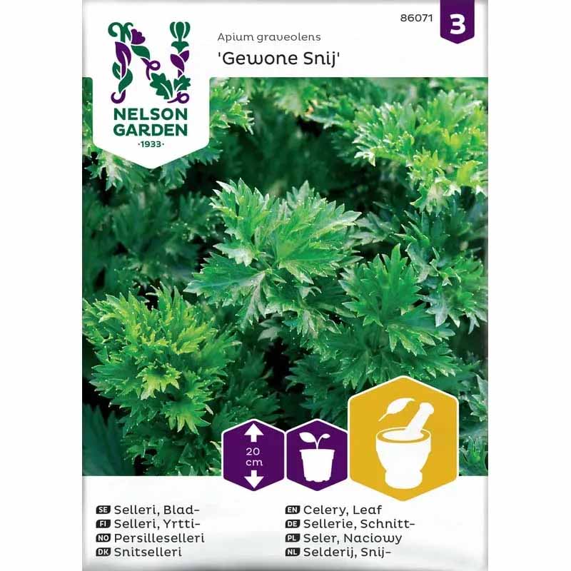 Cutting Celery 'Gewone Snij'