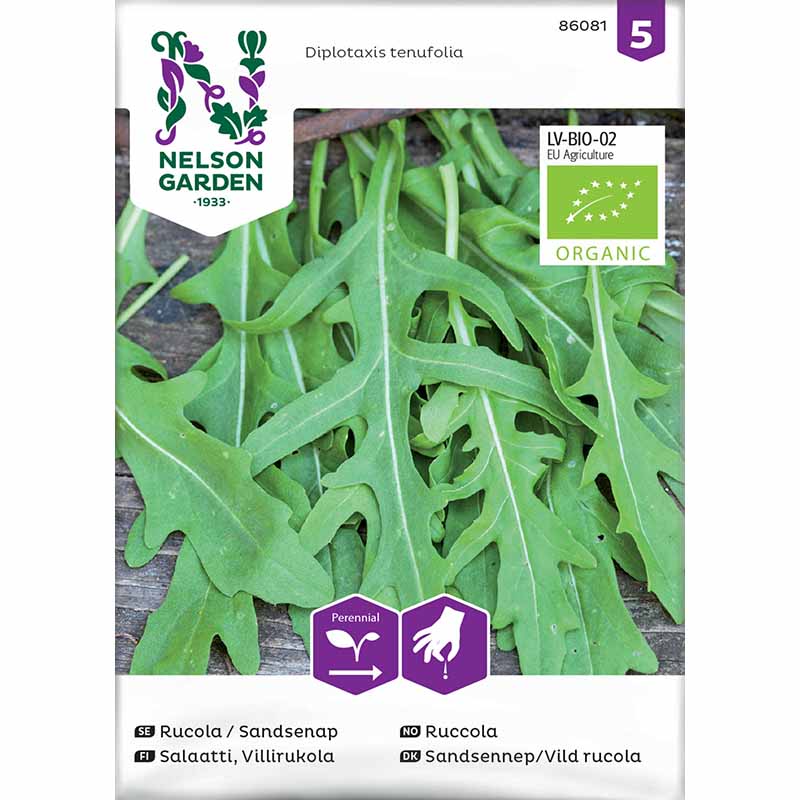 Arugula / Sand Mustard Organic