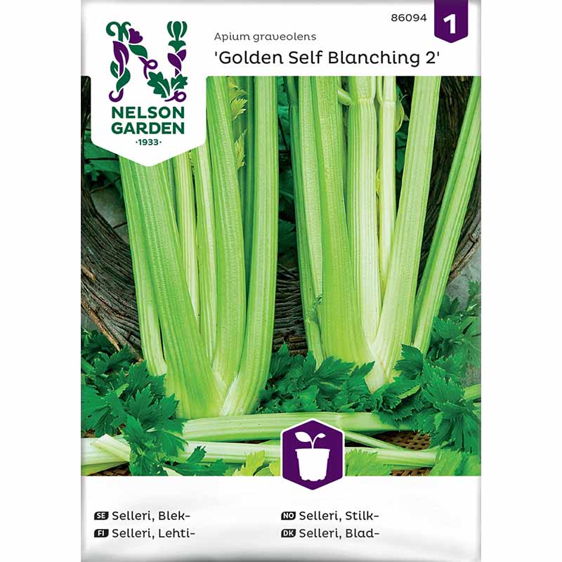 Celery 'Golden Self Blanching 2'