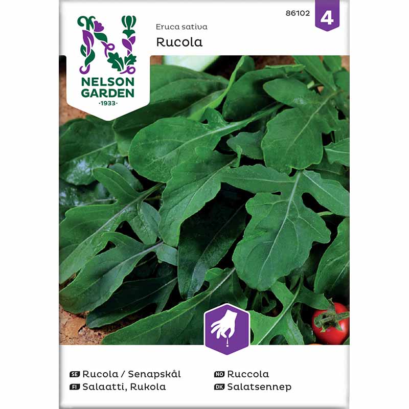 Arugula / Mustard Greens