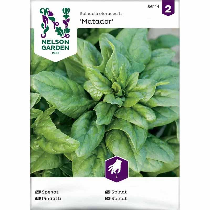 Spinach 'Matador'