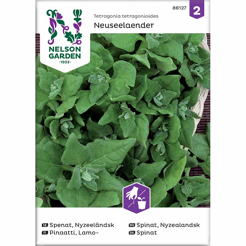 New Zealand Spinach