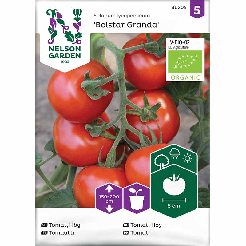 Tomato 'Bollstar Granda'