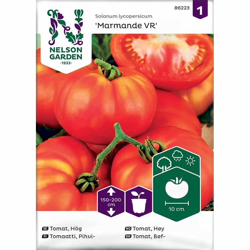 Beefsteak Tomato 'Marmande VR'