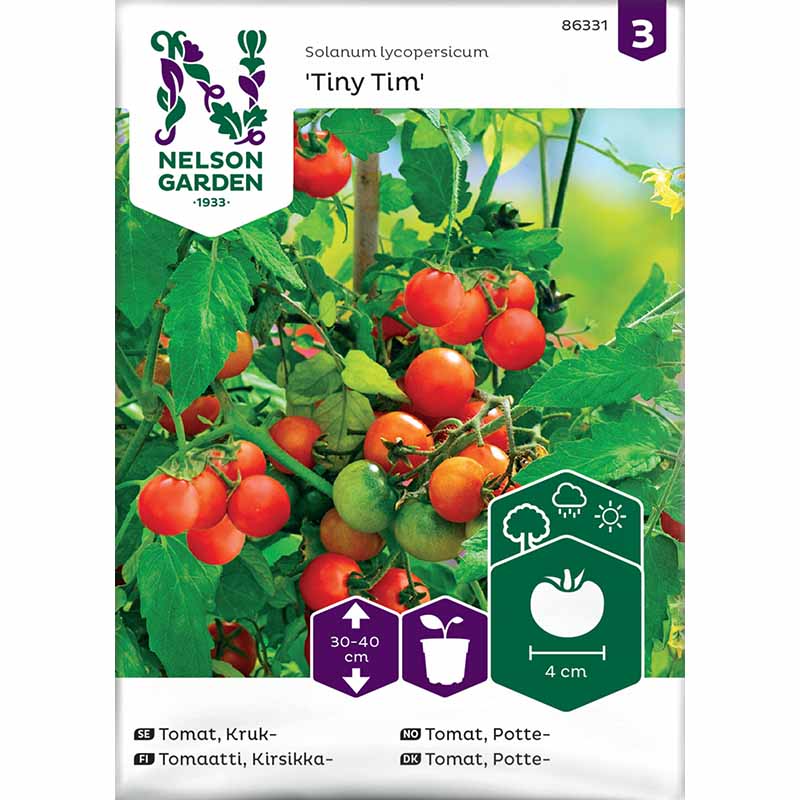 Cherry Tomato 'Tiny Tim'