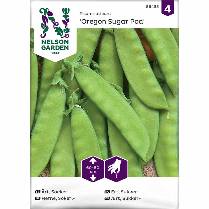 Sugar Pea 'Oregon Sugar Pod'