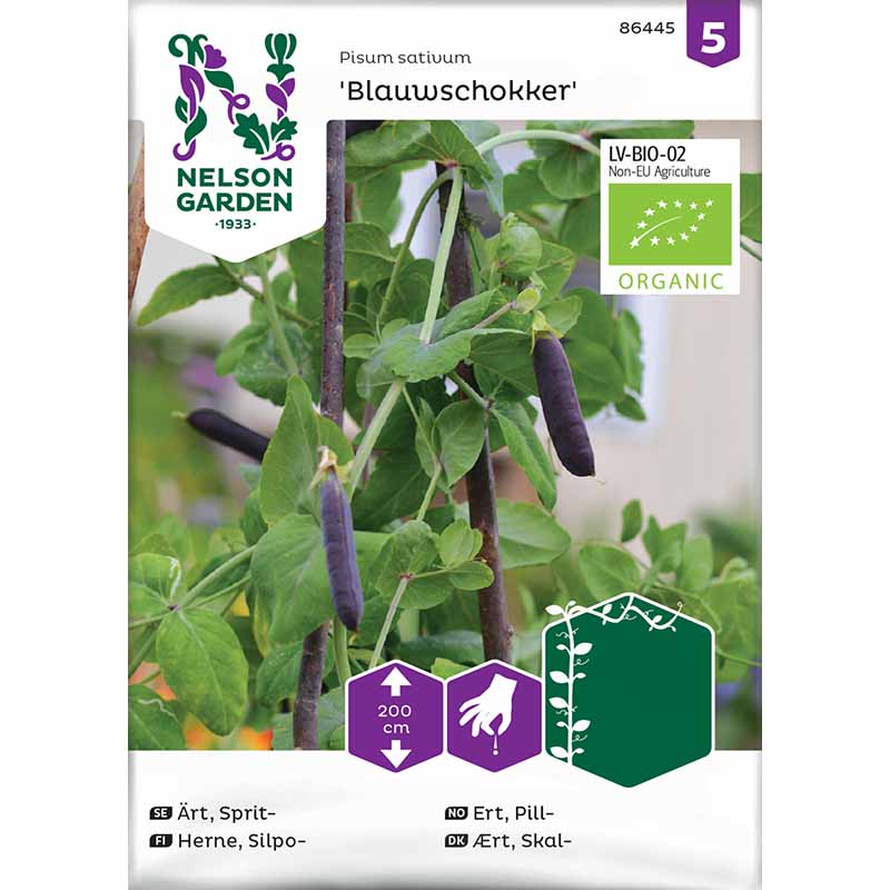 Spritärt 'Blauwschokker' Organic