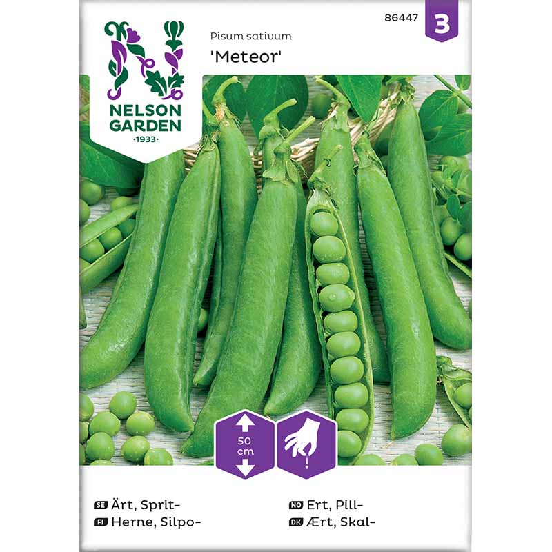 Shelling Pea 'Meteor'