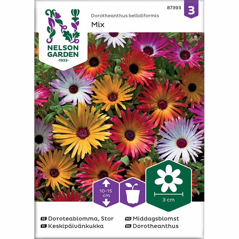 Livingstone Daisy mix