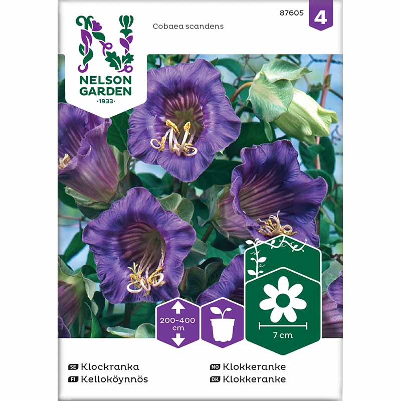 Cup and Saucer Vine blue