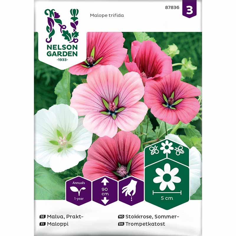 Annual Mallow blandade färger