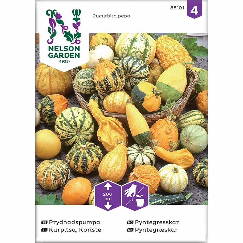 Ornamental Gourd, Mixed Varieties