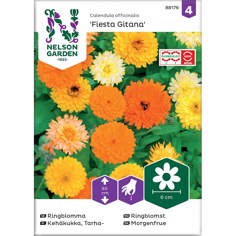 Calendula 'Fiesta Gitana'