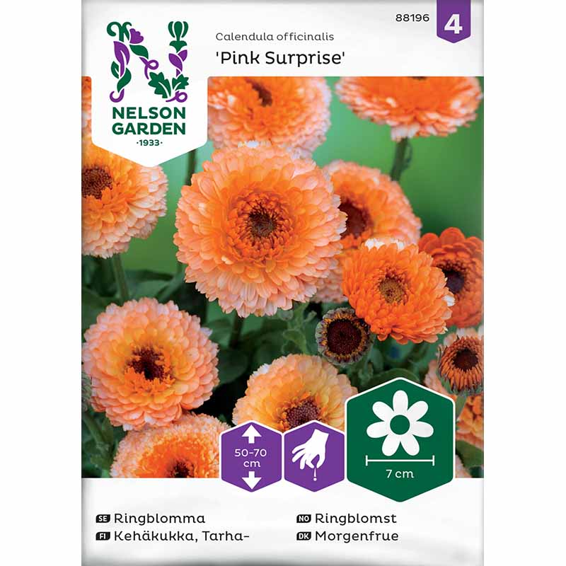Calendula 'Pink Surprise'