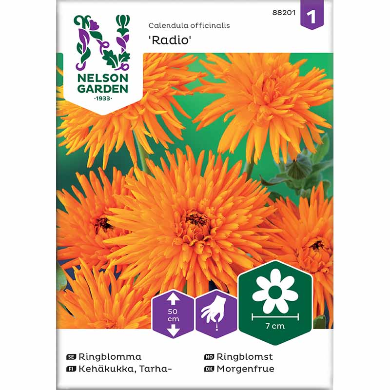Calendula 'Radio'