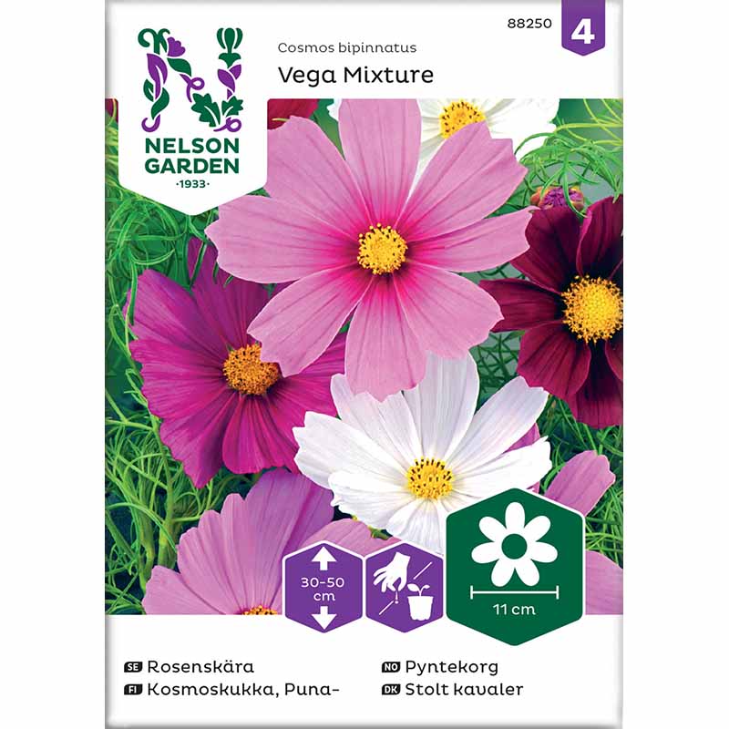 Cosmos 'Vega Mixture'