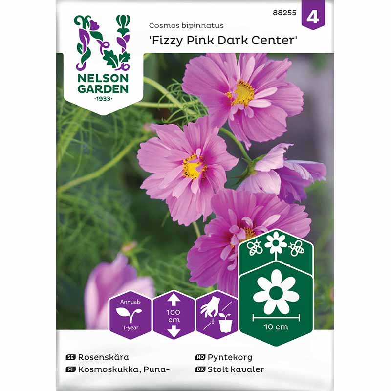 Cosmos 'Fizzy Pink Dark Center'