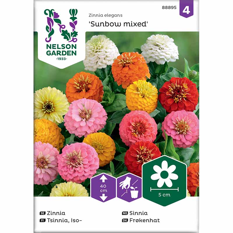 Zinnia Sunbow mixed colors