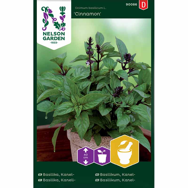 Cinnamon Basil 'Cinnamon'