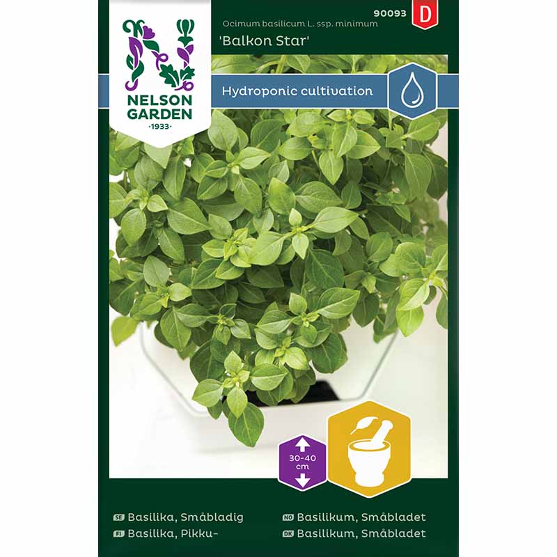 Small-leaved Basil 'Balkon Star' - Harvy