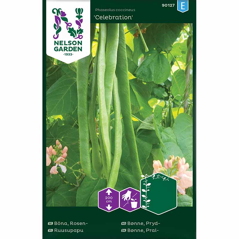 Runner Bean 'Celebration'