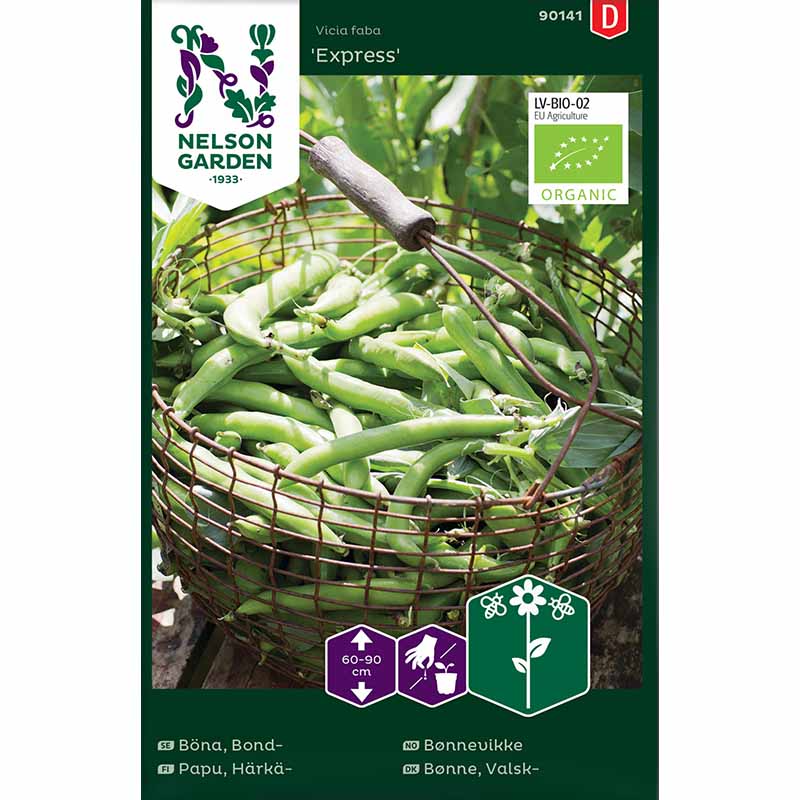 Broad Bean 'Express' Organic