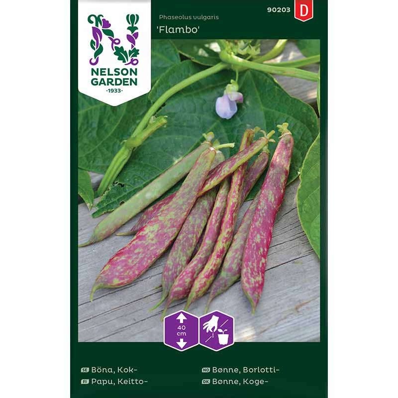 Shelling Bean 'Flambo'