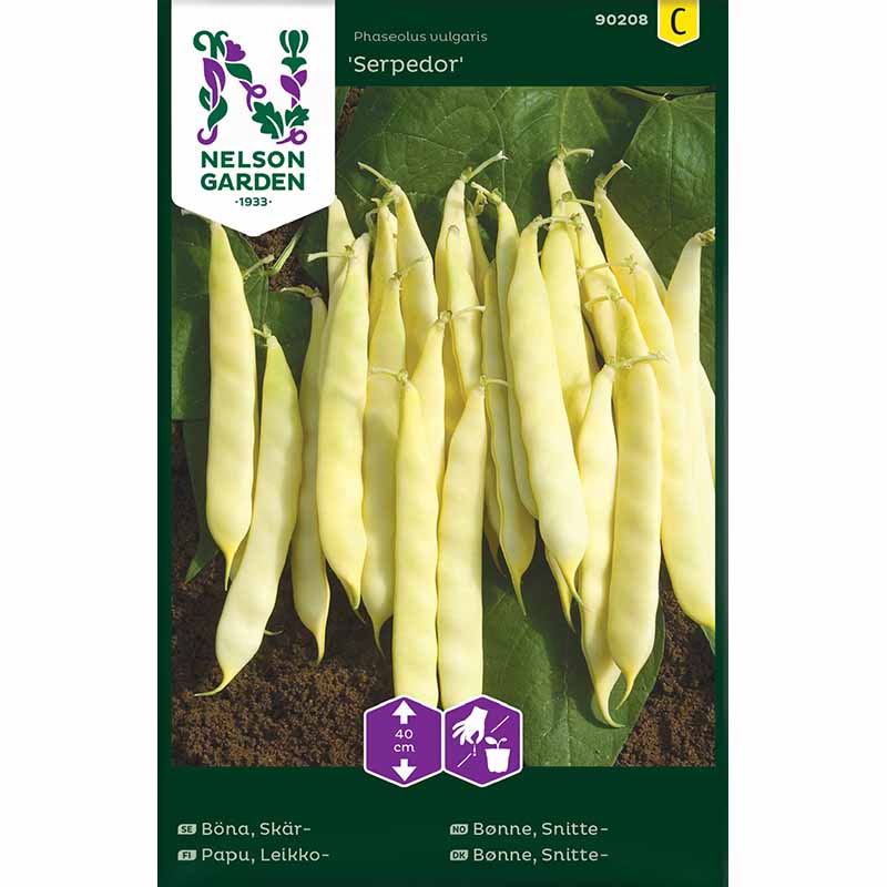 Flat Bean 'Serpedor'