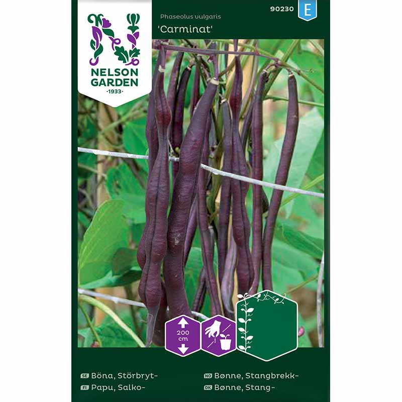 Pole Bean 'Carminat'