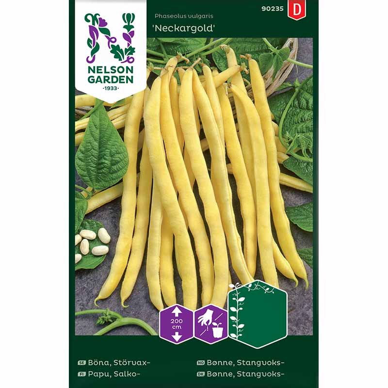 Pole Wax Bean 'Neckargold'