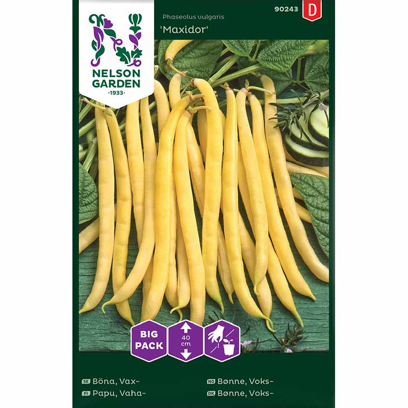 Wax Bean 'Maxidor'