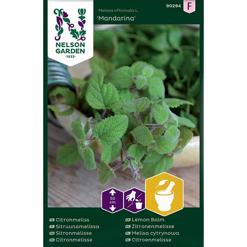 Lemon Balm 'Mandarina'