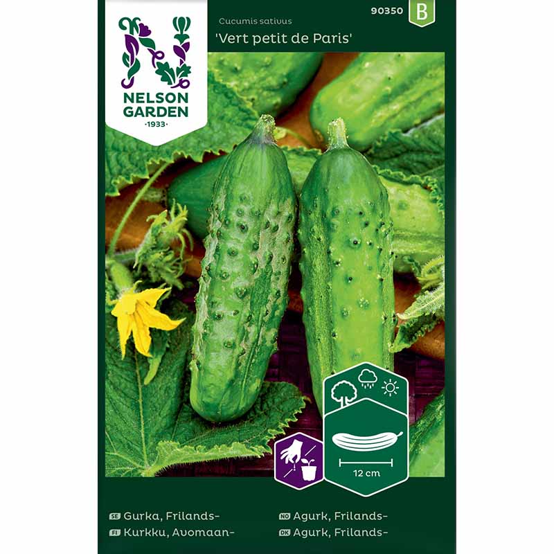 Gherkin 'Vert petit de Paris'